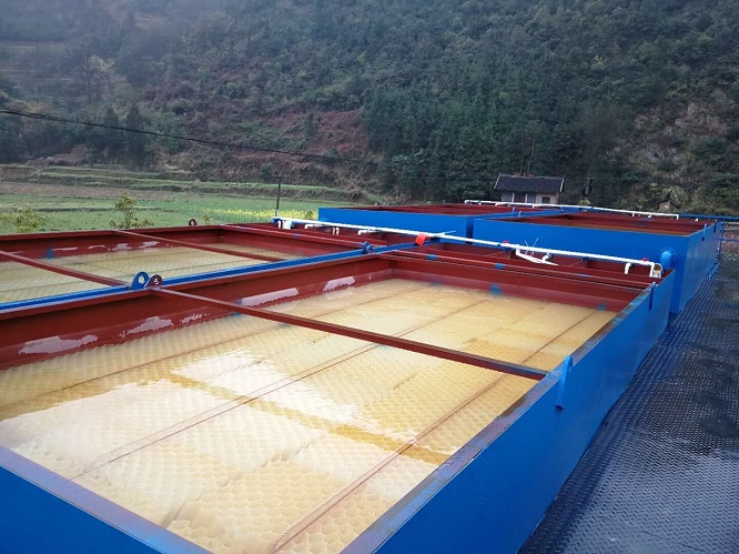 1663903362168651.jpg 7.jpg