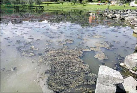 污水羞羞漫画十八禁需要经常测量和监测哪些水污染指标