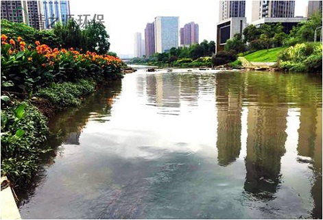 城市生活污水处理有哪些难点问题