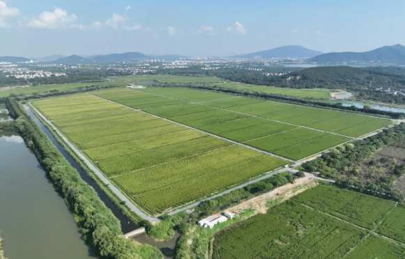 1735282877192430.png 图片2.png