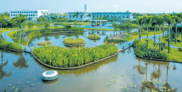 1735282894886160.png 图片4.png