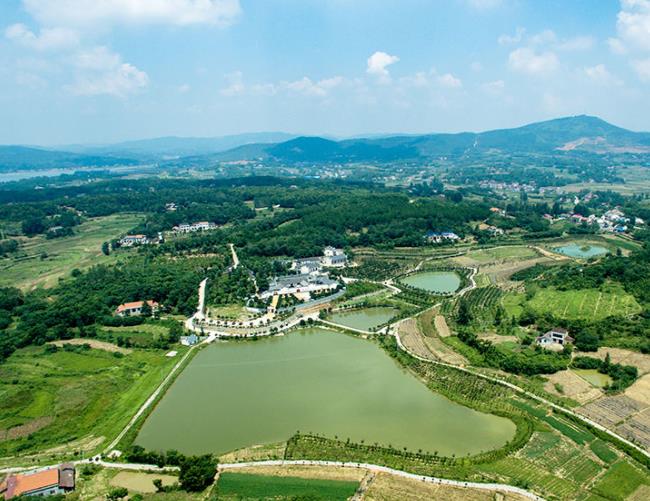 羞羞漫画视频在线观看合伙