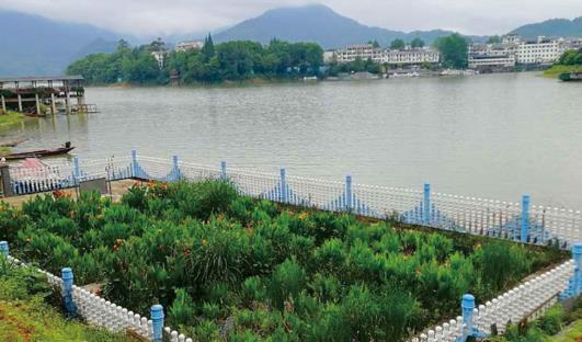 农村生活污水处理方式哪种更好？