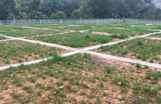 农村环境羞羞漫画十八禁怎么做才更有效？