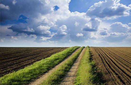 农村环境综合整治一般包含哪些内容？